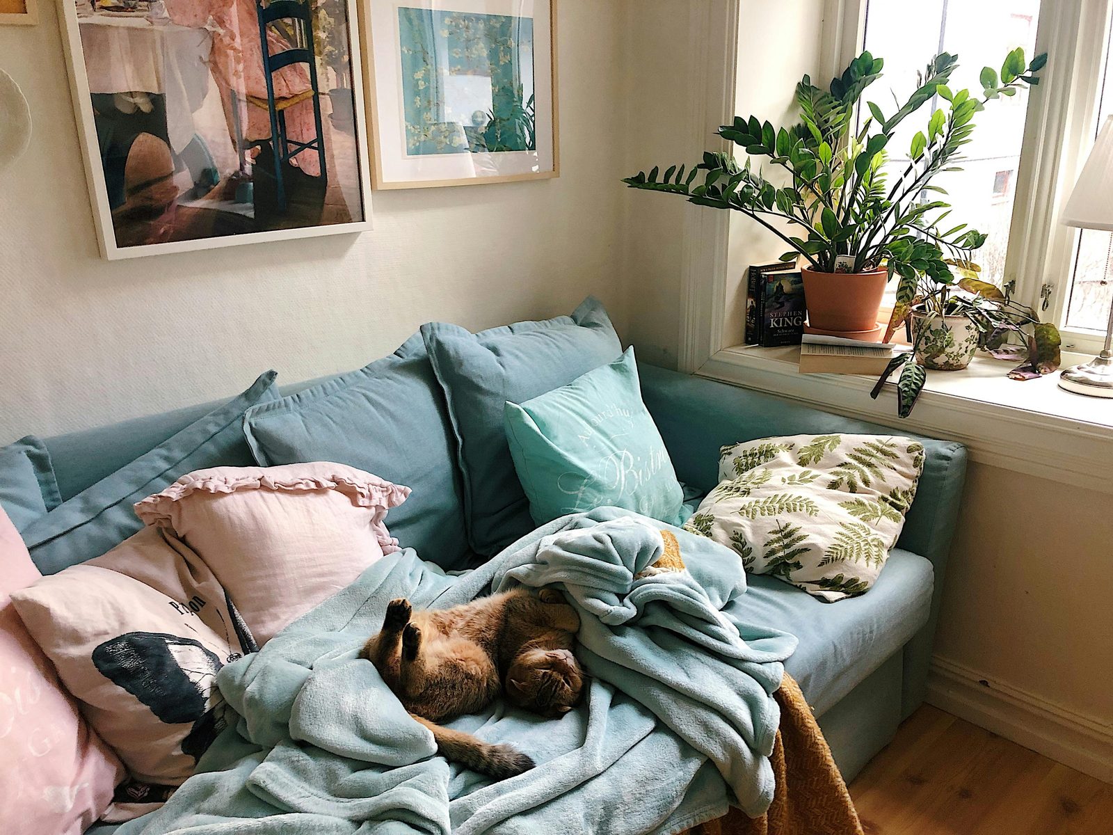 Cat asleep on blankets on a blue sofa in a sunny living room